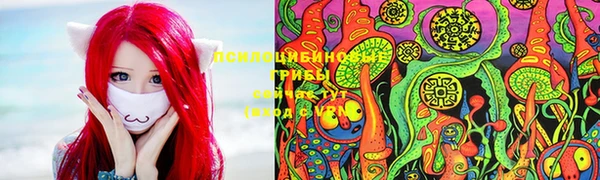 бошки Надым