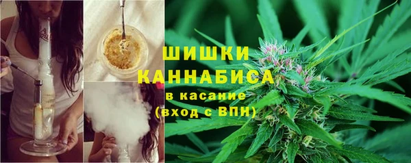 бошки Надым