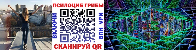 кракен рабочий сайт  Ковдор  Псилоцибиновые грибы мицелий 